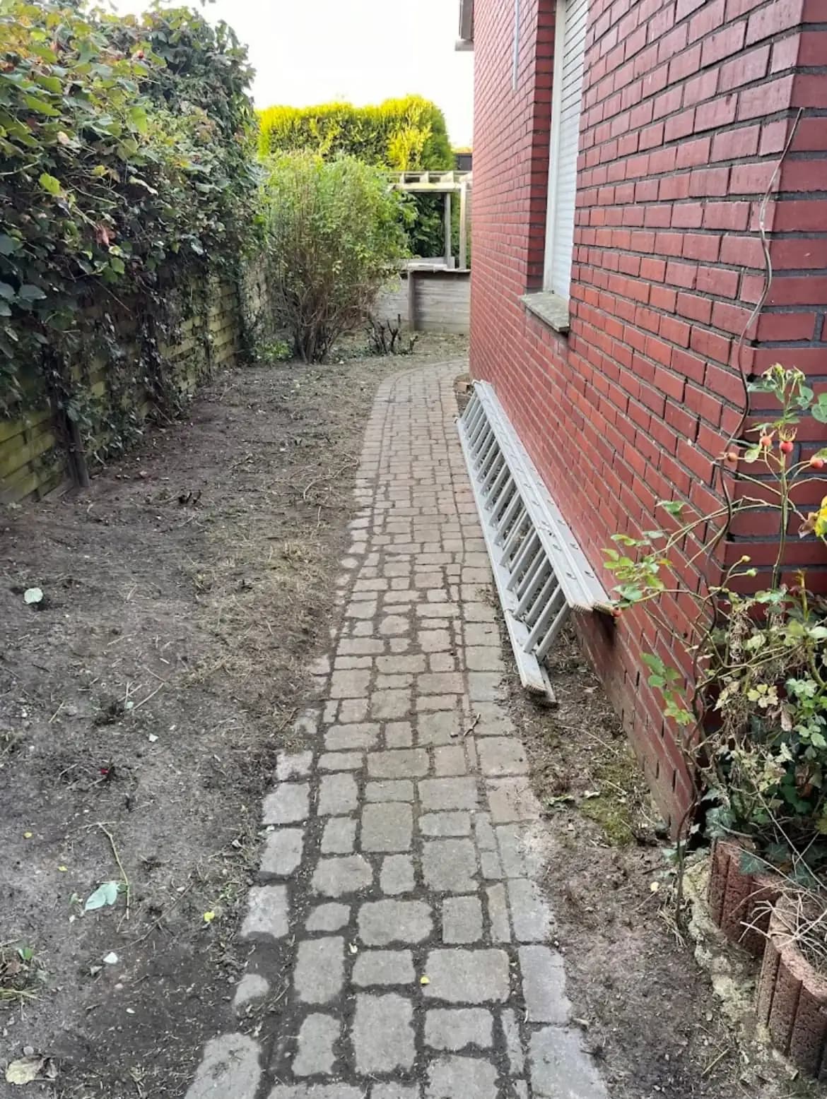 Verwilderter, zugewachsener Garten vor der Pflege durch Der Becker hilft