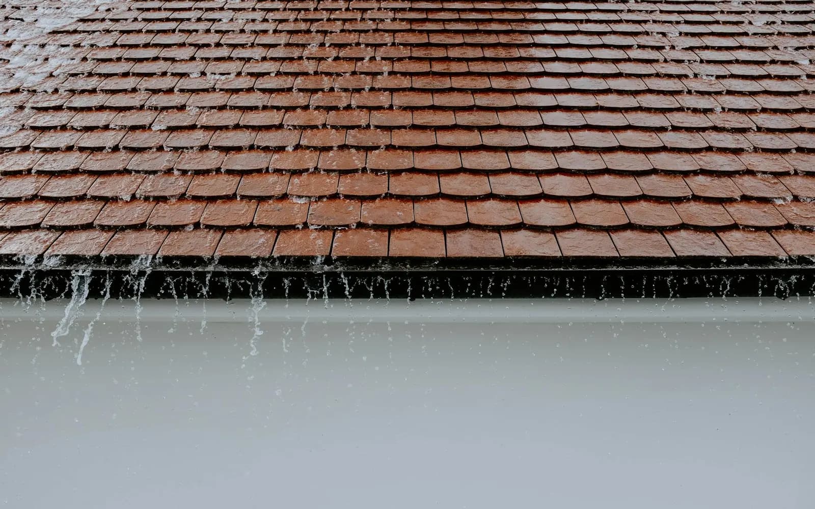Dachrinnenreinigung in Steinfurt