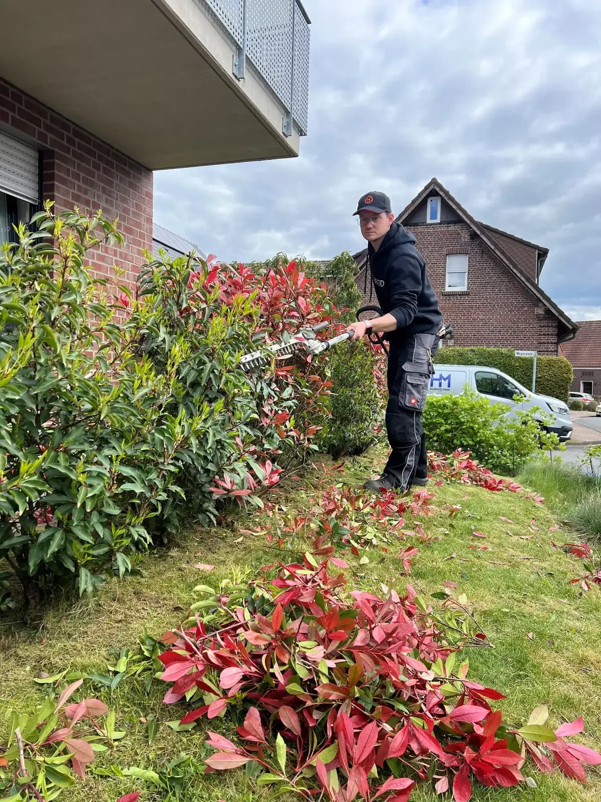 Heckenpflege an einem Wohnhaus – rote Photinia-Hecke wird in Form geschnitten