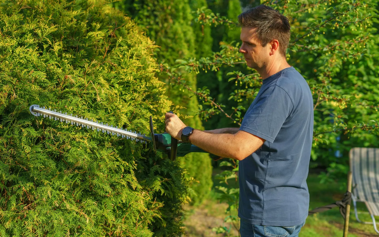 Gartenpflege an einer Hecke